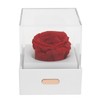 Rose Night Light Romantic Small USB Charging Soft Brightness Decoration