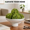 ehuoyan Moss Bowl 6 Moss Balls Decorative Dining Table Centerpiece