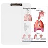 Lung Charts (clip board)