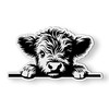 Highland Cow Peeking Magnet for Car Fridge Locker - 5"