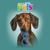 Fancy Pets Juguete para Tirar y Morder para Perro