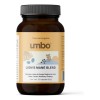 Lion's Mane + Maca + Ginseng | 4 Adaptogenos |