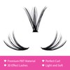 Eyelashes, Individual Cluster for Eyelash Extensions, 30D, 40D, 0.07 D-curl,