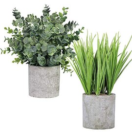 2 Pack Small Potted Eucalyptus Plant Artificial Grass in Pot Assorted Mini Houseplants Greenery for Indoor Kitchen Dining Room Office Apartment Tabletop Decorations Wedding Centerpiece 8.9" Tall