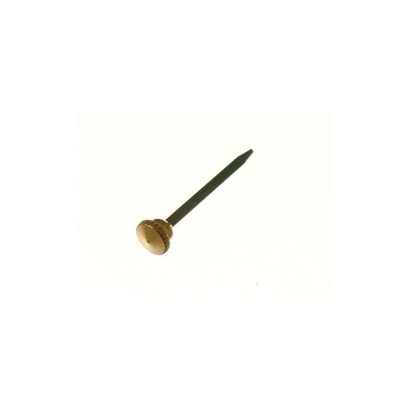 Dzina Picture Photo Hanging Hook PINS KNURLED Brass Head (