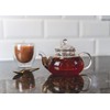 Charbrew Borosilicate Glass Tea Pots with Strainer for Loose Leaf