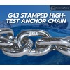 MarineNow 1/4" G43 ISO AISI 316 Marine Grade Stainless Steel