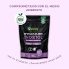 Myo Inositol Y D-chiro Inositol 369gr Wellthy 90 Servs 40:1