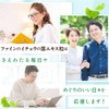 Fine Japan Ginkgo Leaf Extract, Prime, Powder Ginkgo Leaf Extract,