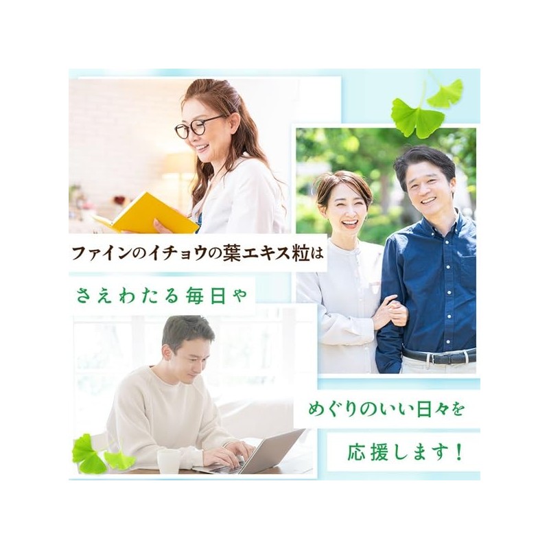 Fine Japan Ginkgo Leaf Extract, Prime, Powder Ginkgo Leaf Extract,