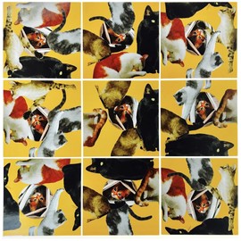 Scramble Squares Cat 9 Piece Challenging Puzzle - Ultimate Brain Teaser and Mind Game for Young and Senior Alike - Engaging and Creative With Beautiful Artwork - By B.Dazzle