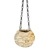 Super Moss (29347) Blond Sphagnum Kokedama Planter, 4"