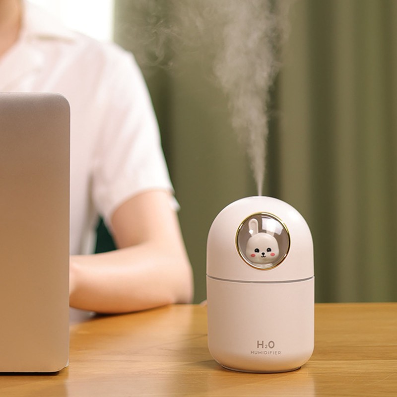 Humidifier Aroma Diffuser USB Power Supply 300ml Capacity Auto Shutdown