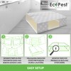 Silverfish Trap — 12 Pack | Sticky Indoor Glue Trap