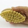 Zoie + Chloe 100% Natural Plant-Fiber Soft Bristles Vegetable Brush