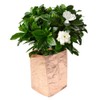 Kraft Paper Washable Reusable Planting Bag Plant Growing Bags for