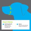Premier Pet Dog Muzzle - Safely Reduces Biting & Barking