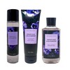 Generic Bath and Body Work Violet Leaf & Blackberry -