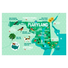 Birdy Boutique Maryland Map Tapestry – 60" x 39" Educational State Wall Hanging for Kids – Landmarks, Cities, Wildlife, Fun Facts – Lightweight Geography Decor for Classroom, Homeschool, or Bedroom
