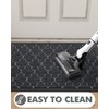 LUMI Front Door mat, Absorbent Mud Resistant Indoor Outdoor Entrance
