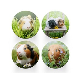 4 x Round Guinea Pig Coasters - Animals Rodent Pets Set Theme Women House Warming Circle Drinks Kitchen Table Decoration Décor Gift #80155