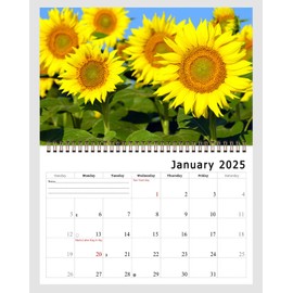 2025 Spiral-bound Wall Calendar (Sunflowers) - 12 Months Desktop/Wall Calendar/Planner