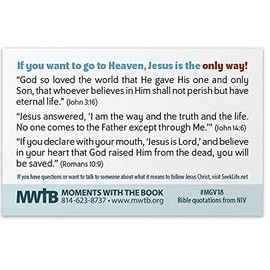 Jesus Is The One Way (Mini Gospel Tract Card - Packet of 100 - NIV)
