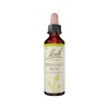 Bach Flower Remedies Chestnut Bud 20ml