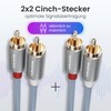 audio pirates High Performance Audio RCA Cable, 2 x 2