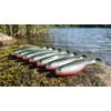 Zite Fishing InZite Pershad Set | 56 Rubber Fish in