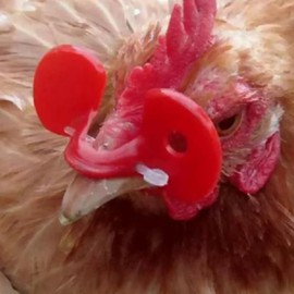 SUPVOX 150Pcs Chicken Glasses: Chicken Blinder for Hens Roosters - Red Anti-Pecking Eye Protection for Farm and Free-Range Use