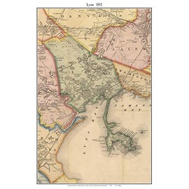 Lynn 1852 Old Town Map with Homeowner Names Massachusetts Nahant - Reprint Genealogy Boston & Vicinity Co. MA TM