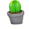 G & F Products 10062 Garden Miniature - Succulent