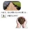 Matsuda Seicha Super Shibucha, 2.8 oz (80 g)