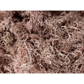 Bergamo Art 200g Preserved Reindeer Moss in Pink