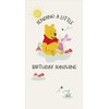 WINNIE THE POOH OPEN BIRTHDAY CARD