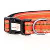 Long Paws Comfort Collar, Reflective, Padded Dog Collar, Extra Small,