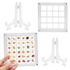 2 Pcs Acrylic Magnetic Seashell Display Box, Clear Seashell Storage