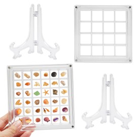 2 Pcs Acrylic Magnetic Seashell Display Box, Clear Seashell Storage Box, Shells Display Case, Multifunctional Transparent Container for Shells Bead Starfish Jewelry Starfish Gemstone Trinket