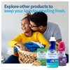 Clorox Scentiva Fabric Softener Dryer Sheets, Tuscan Lavender & Jasmine