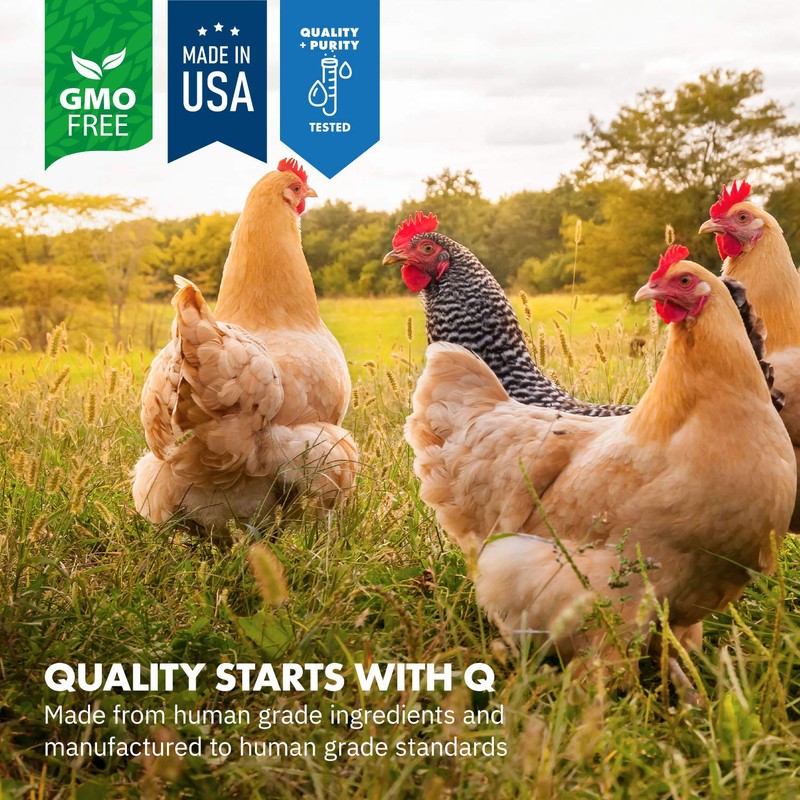 Equa Holistics HealthyGut Probiotics for Chickens & Poultry, All-Natural Digestive