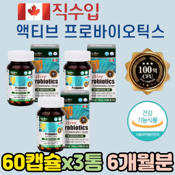 Vegetable Capsule Lactobacillus Nutrients that are good for the intestines