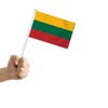 25 PCS Lithuania Handheld Small Flag, Lithuanian Hand held Mini