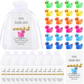 Unittype 24 Pcs Christmas Inspirational Gifts Bulk Mini Resin Ducks with You're Great Cards Organza Bags Funny Thank You Presents for Christmas Office Class Rewards(Colorful)