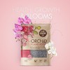 Orchid Plant Food (5 oz, 50+ Applications) - Bloom Booster