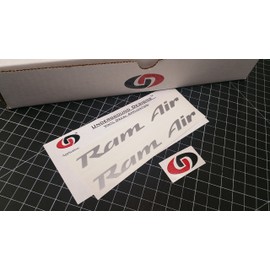 RAM AIR DECALS Firebird Trans Am Formula GTO Hood Stickers 1993-2002 METALLIC SILVER