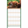 Busy Life Wall Planner 2025 (PFP)