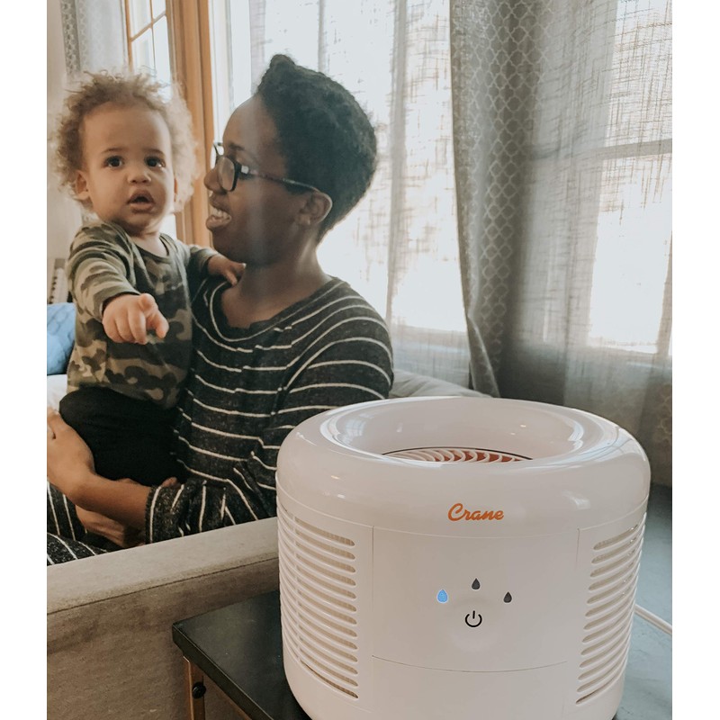 Crane Quiet HEPA Air Purifier for Home, Pets & Baby