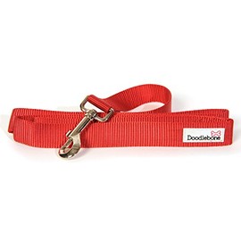 Doodlebone Bold Nylon Lead Red Small 15mm X1.3m