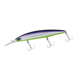Shoreline Shiner Z Set Upper 125S-DR